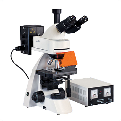 科研级三目荧光显微镜XSP-BM22AY