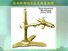 显微镜的起源及显微镜的发展史