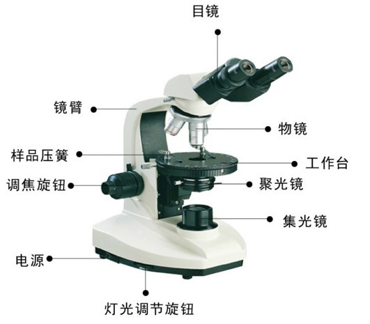 显微镜物镜的使用方法及注意事项_景通生命科