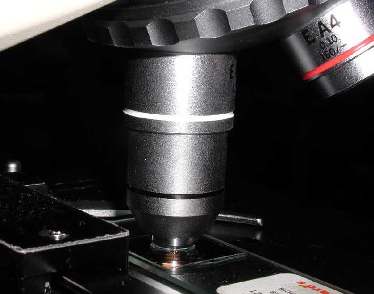 如何使用显微镜油镜?有哪些注意事项?_景通生