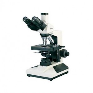 XSP-7相衬生物显微镜