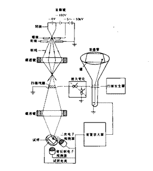 扫描电子显微镜的原理介绍
