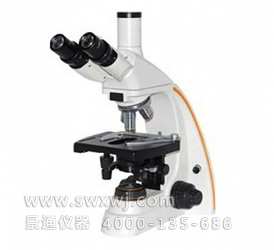 LW300-28LT科研型生物显微镜