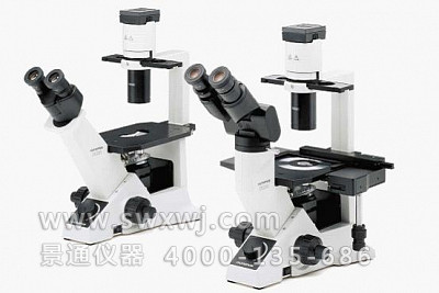 CKX31/CKX41奥林巴斯倒置显微镜