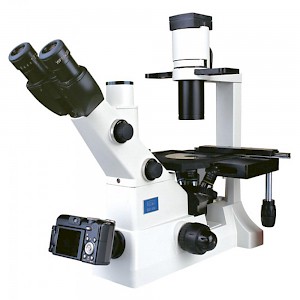 XD-202无限远光学系统生物显微镜