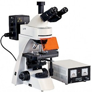 XSP-63X正置荧光显微镜