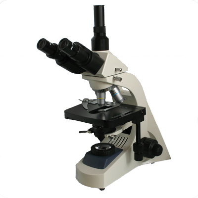 三目生物显微镜XSP-BM19A