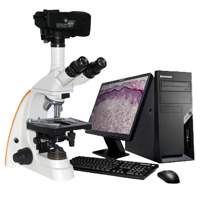 定倍定标图像显微镜10CA-SMUV