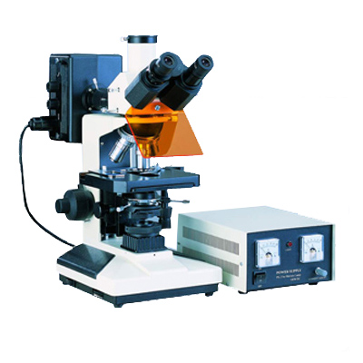 三目荧光显微镜XSP-BM13C