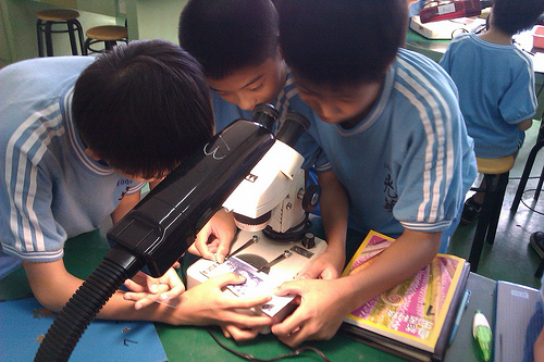 显微镜课程纪录