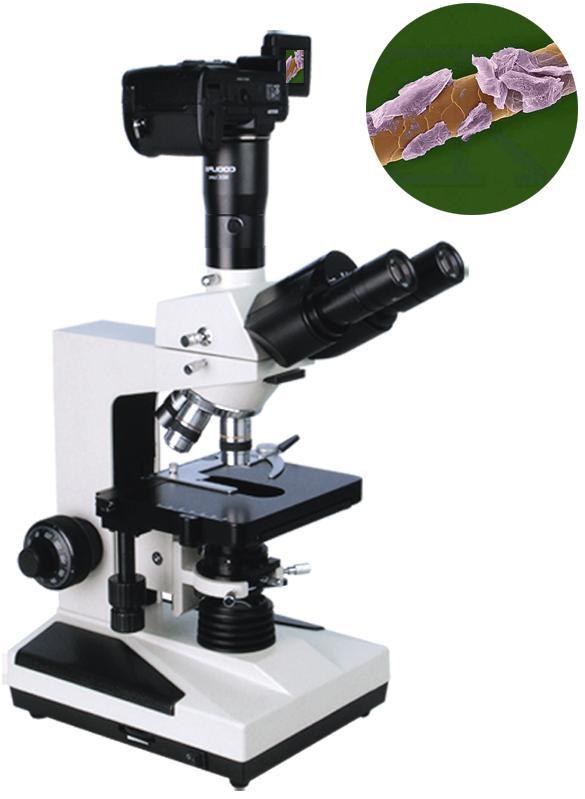 XSP-8CD  生物显微镜