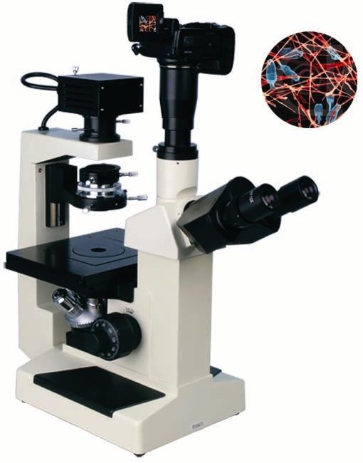 XSP-19CD 倒置生物显微镜
