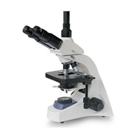 LW300-48LT实验型生物显微镜