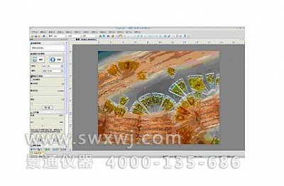 ToupView专业图像分析软件