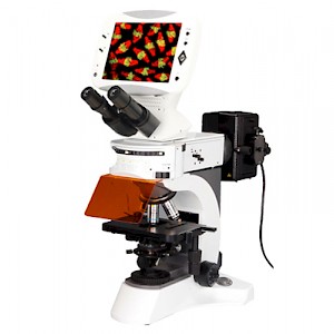 TFM-330型荧光生物显微镜
