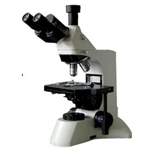 LWK500LT科研型生物显微镜