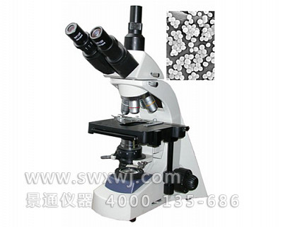 LW300-48LT实验型生物显微镜