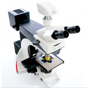 DM2500徕卡生物显微镜