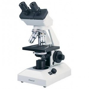 Classica E系列正置生物显微镜