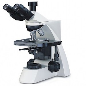 XSP-2CBA三目生物显微镜