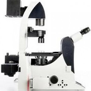 Leica DMI6000B倒置生物显微镜