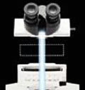 BX41临床研究级显微镜