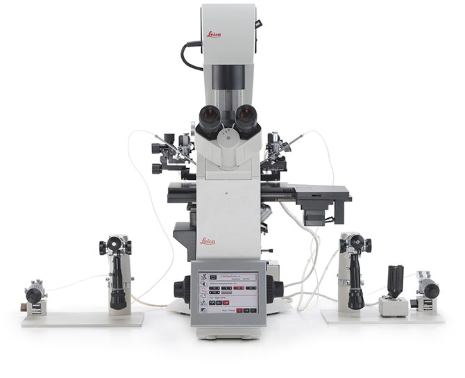 leica研究型倒置显微镜DMi8