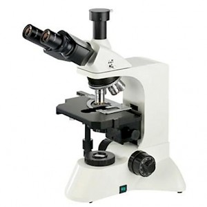 LW300LT科研型生物显微镜