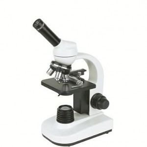LW40I 单目生物显微镜