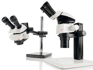 徕卡生物显微镜 的图像结果