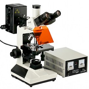 XSP-63XV无限远光学校正系统荧光显微镜