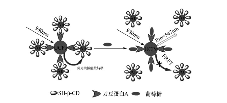 上转换热解法制备的材料被水溶了怎么办？