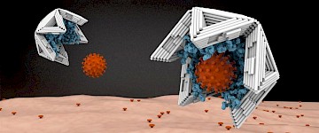 病毒陷阱：由DNA制成的中空纳米物体可以捕获病毒并使它们无害