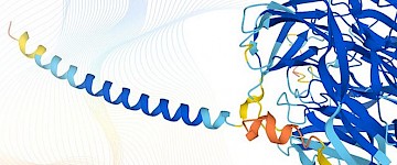 DeepMind发布了人类蛋白质组的准确图片