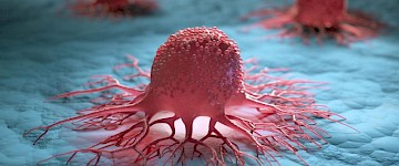 章鱼状触手帮助癌细胞侵入身体——对所有活细胞基本机制的新见解