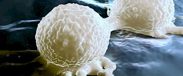 RNA结合蛋白：难治性乳腺癌的分子靶向治疗