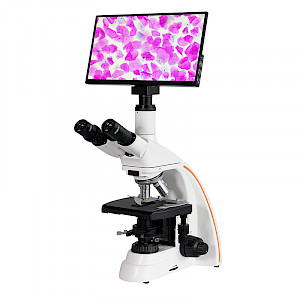 VMB2200DMW科研级视频生物显微镜